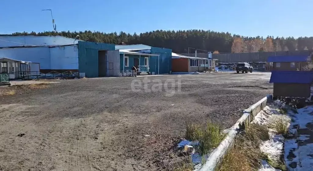 Склад в Свердловская область, Белоярский пгт ул. Калинина, 74А (2906 ... - Фото 2