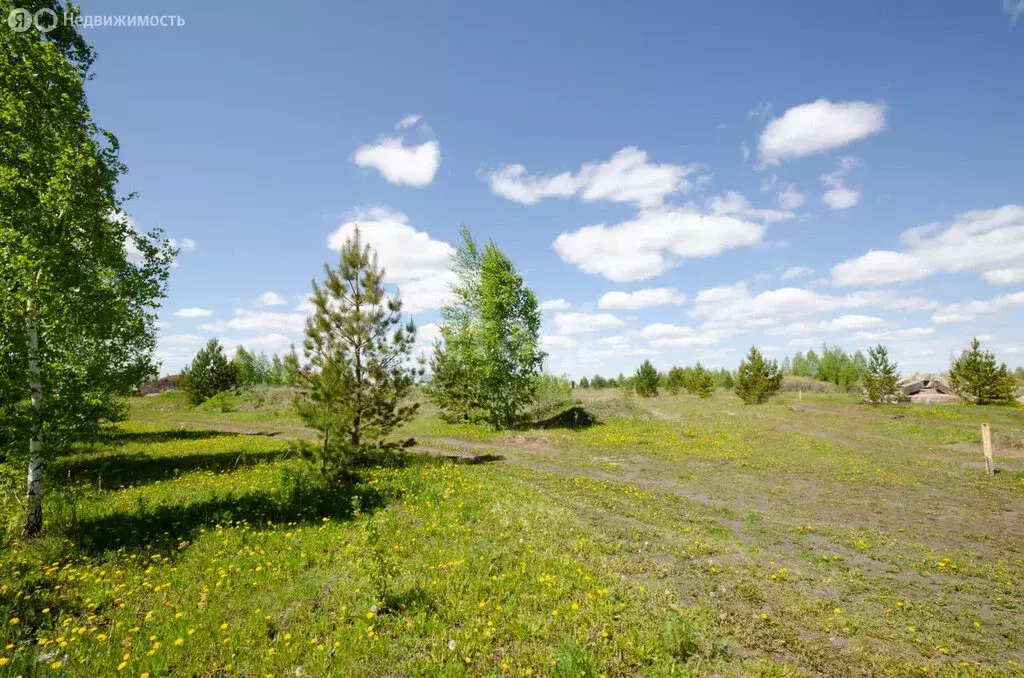 Участок в Ялуторовск, улица Генерала Уварова (9.5 м) - Фото 2
