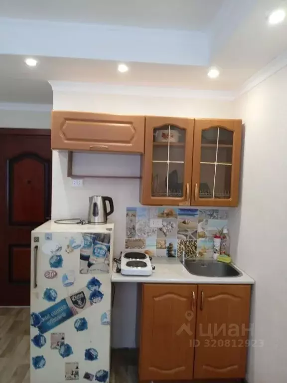 Студия Красноярский край, Красноярск ул. Шевченко, 70 (12.0 м) - Фото 1