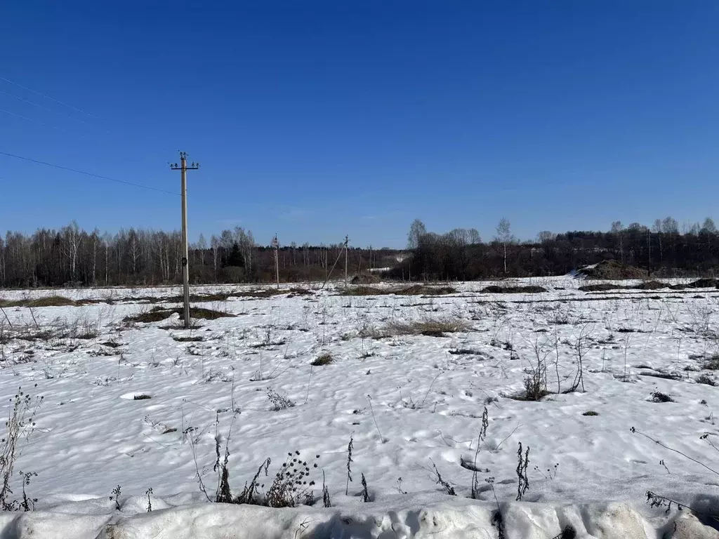 Участок в Тверская область, Калининский муниципальный округ, с. ... - Фото 2