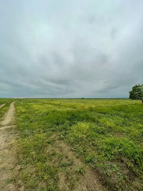 Участок в Чеченская республика, Грозный ул. Чехова, 4 (6.0 сот.) - Фото 1