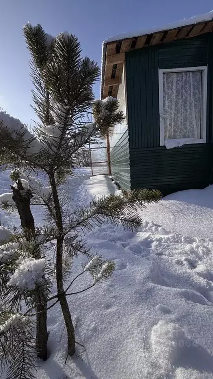 Дом в Башкортостан, Чишминский район, Аровский сельсовет, с. Кляшево  ... - Фото 2