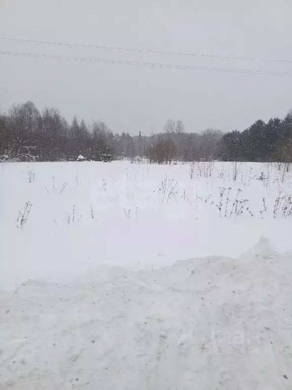Участок в Вологодская область, Вашкинский муниципальный округ, с. ... - Фото 1