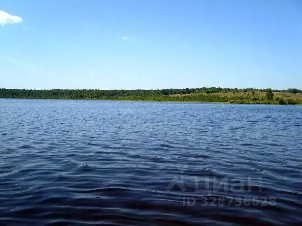 Участок в Тверская область, Оленинский район, д. Дубровка  (25.0 сот.) - Фото 1