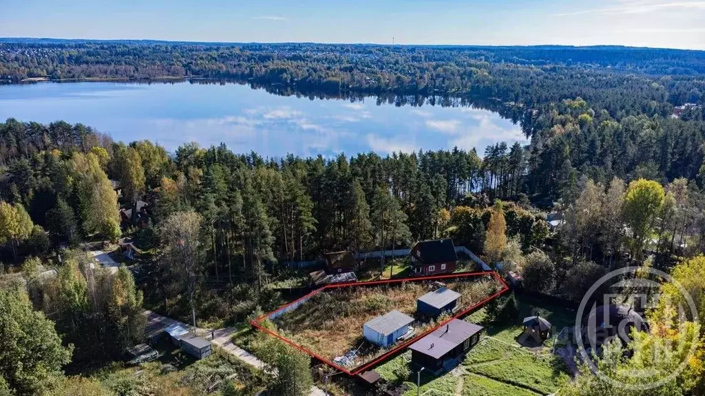 Участок в Ленинградская область, Выборгский район, Первомайское с/пос, ... - Фото 2