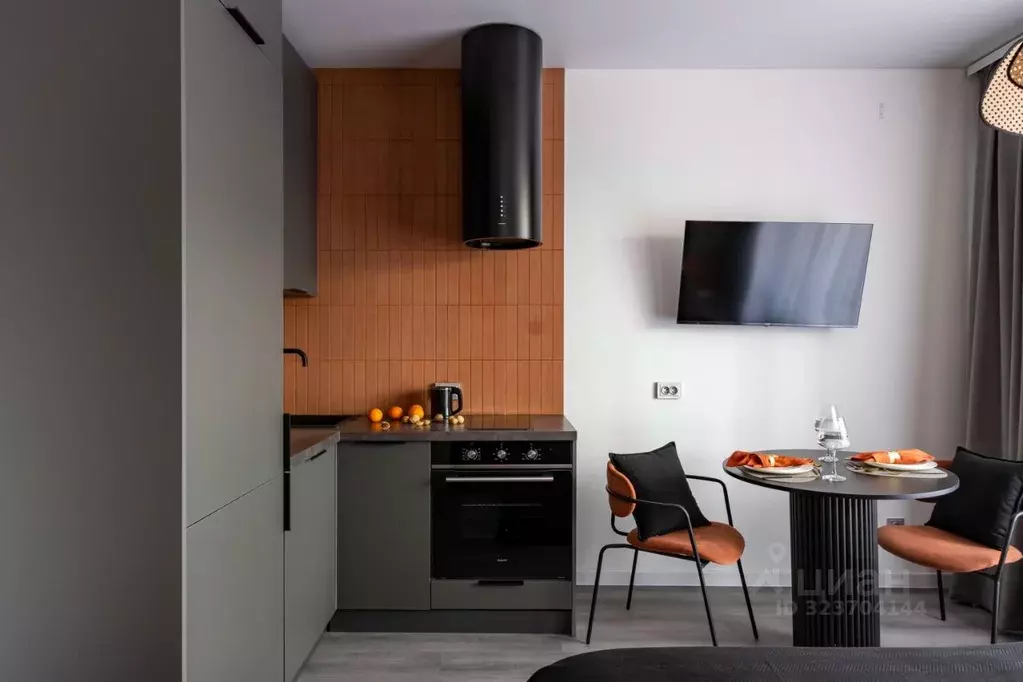 1-к кв. Санкт-Петербург Дальневосточный просп., 19к1 (24.0 м) - Фото 2