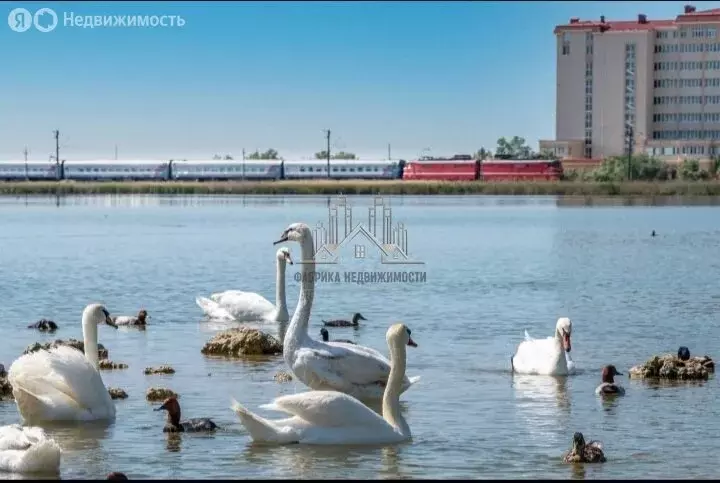 Квартира-студия: Заозёрное, жилой комплекс Альба дель Маре (30 м) - Фото 2