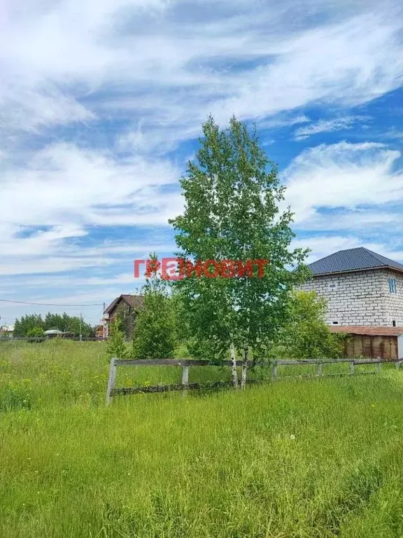 Участок в Новосибирская область, Новосибирский район, с. Верх-Тула ул. ... - Фото 1
