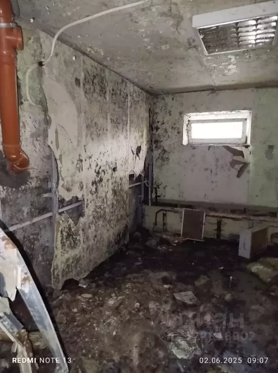 Помещение свободного назначения в Нижегородская область, Нижний ... - Фото 1
