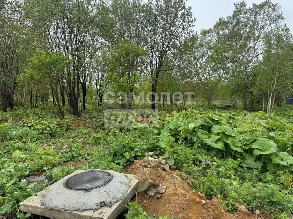 Участок в Сахалинская область, Долинский городской округ, с. Сокол ул. ... - Фото 1