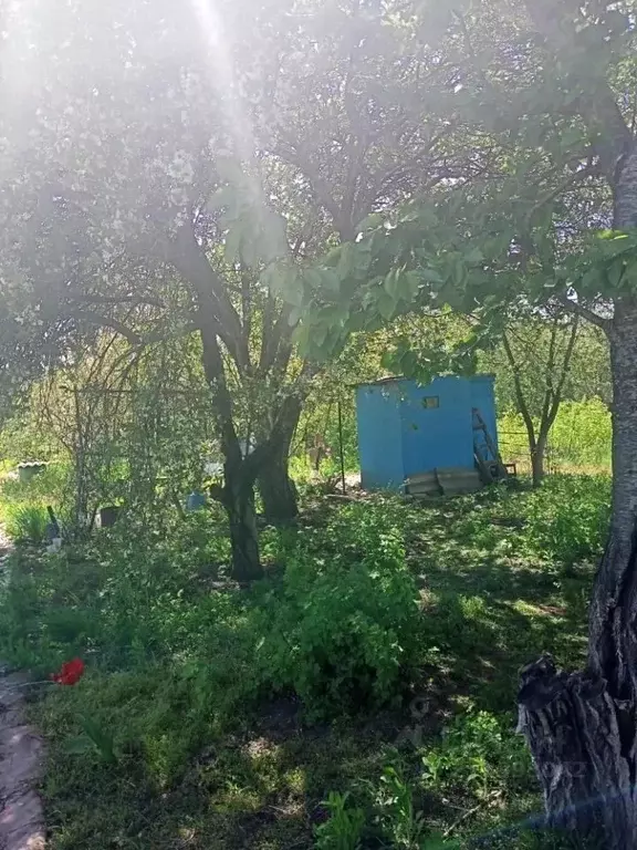 Участок в Белгородская область, Корочанский район, Мелиховское с/пос, ... - Фото 2