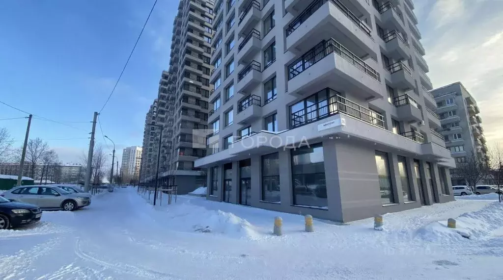 Торговая площадь в Новосибирская область, Новосибирск ул. Аэропорт, 88 ... - Фото 1