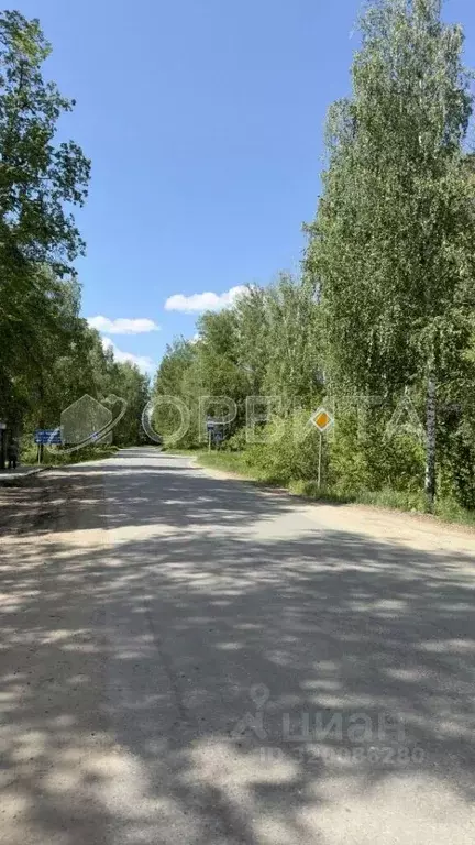 Участок в Тюменская область, Нижнетавдинский район, Тюневское с/пос, ... - Фото 0