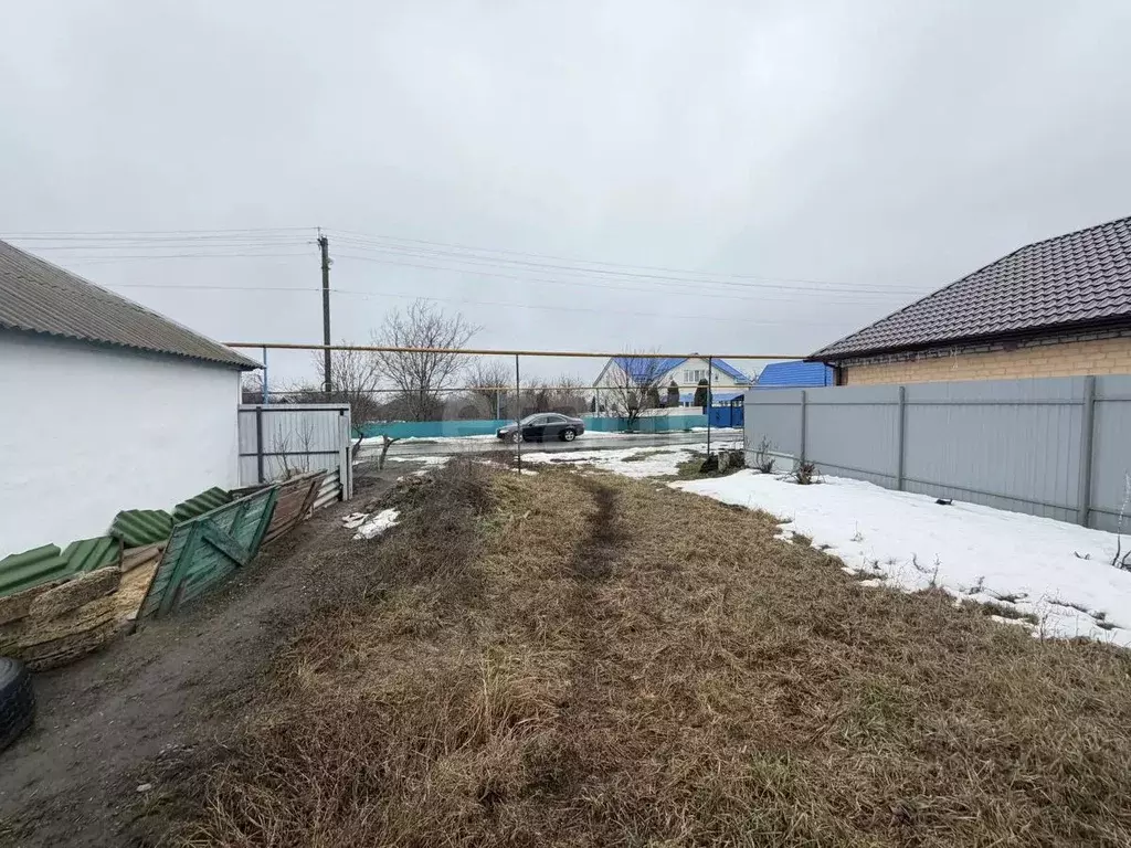 Участок в Белгородская область, Корочанский муниципальный округ, с. ... - Фото 2