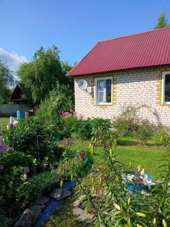 Дом в Смоленская область, Руднянский муниципальный округ, д. Березино ... - Фото 1