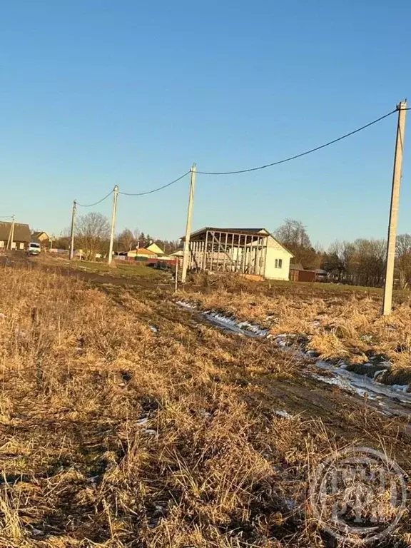 Участок в Ленинградская область, Лужский район, Заклинское с/пос, д. ... - Фото 1