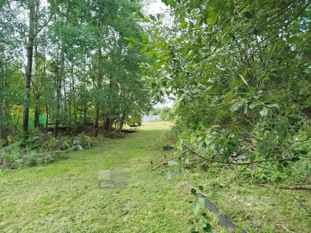 Участок в Московская область, Щелково городской округ, д. Малые ... - Фото 2