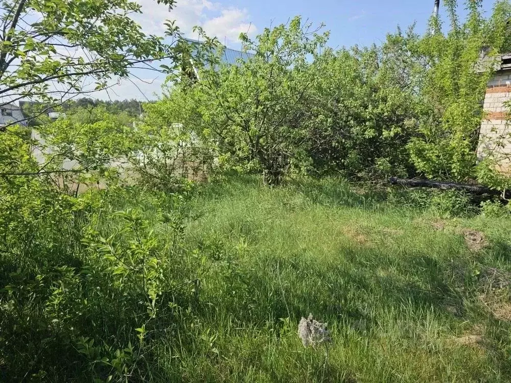 Участок в Марий Эл, Волжск Заря СТ, 190 (5.3 сот.) - Фото 2