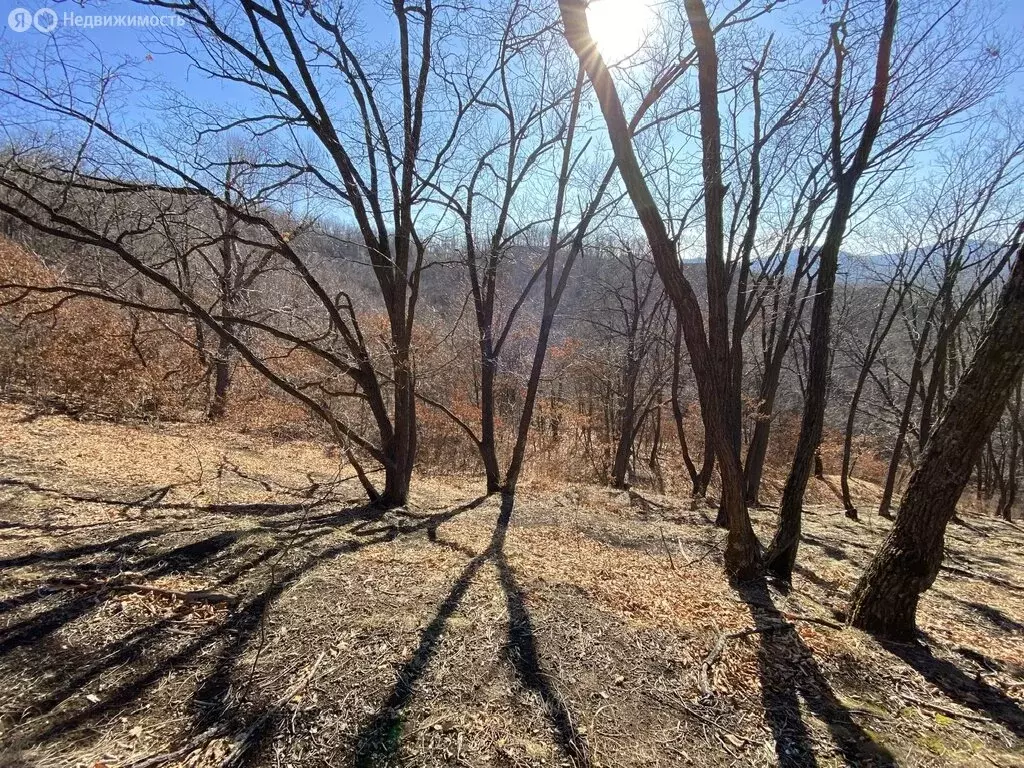 Участок в Артём, 3-я Ключевая улица (8 м) - Фото 2