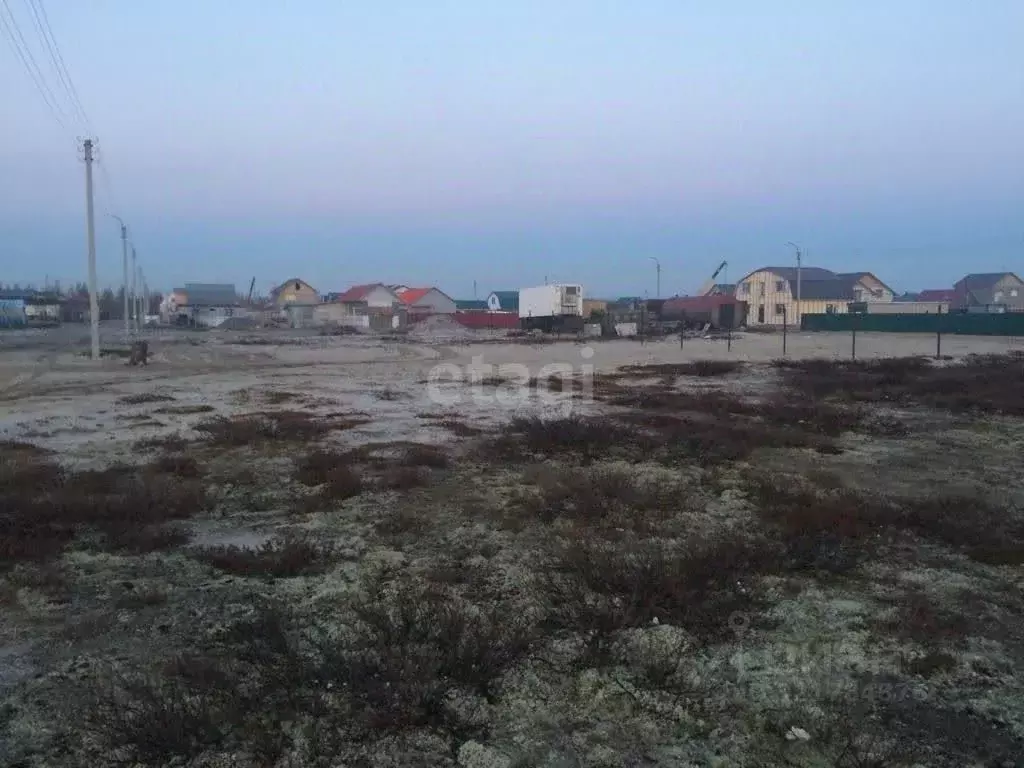 Участок в Ямало-Ненецкий АО, Новый Уренгой Лира ДНТ, ул. Степная, 33 ... - Фото 1