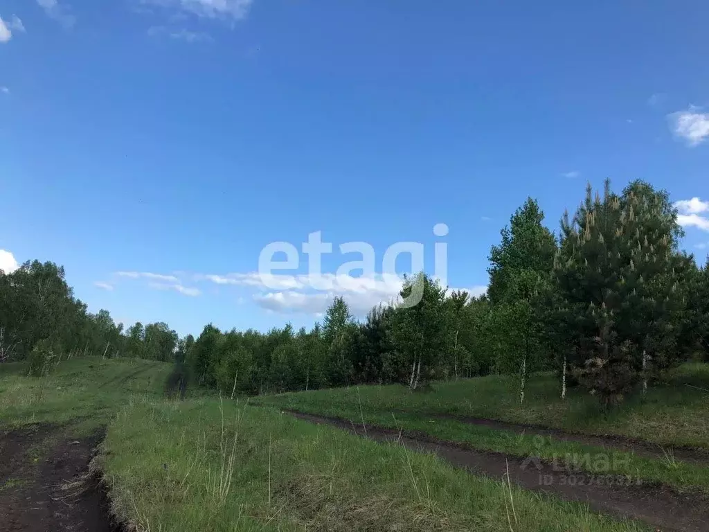 Участок в Красноярский край, Березовский район, Вознесенский ... - Фото 1