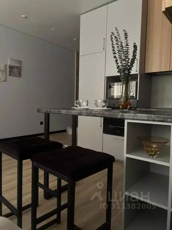 Студия Краснодарский край, Краснодар ул. Героя Пешкова, 14к3 (23.0 м) - Фото 2