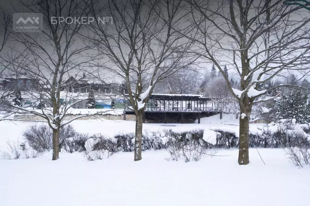 Участок в Ленинградская область, Всеволожский район, Колтушское ... - Фото 1
