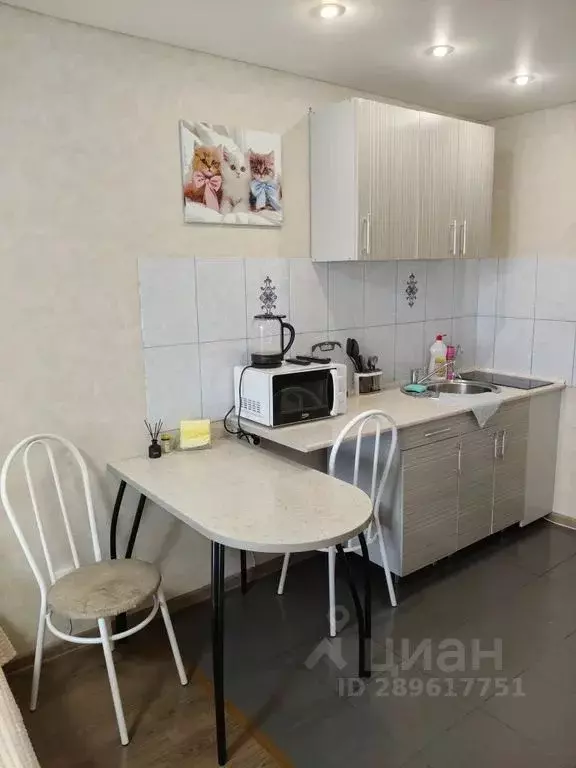 Студия Кировская область, Киров Московская ул., 121к1 (28.0 м) - Фото 2