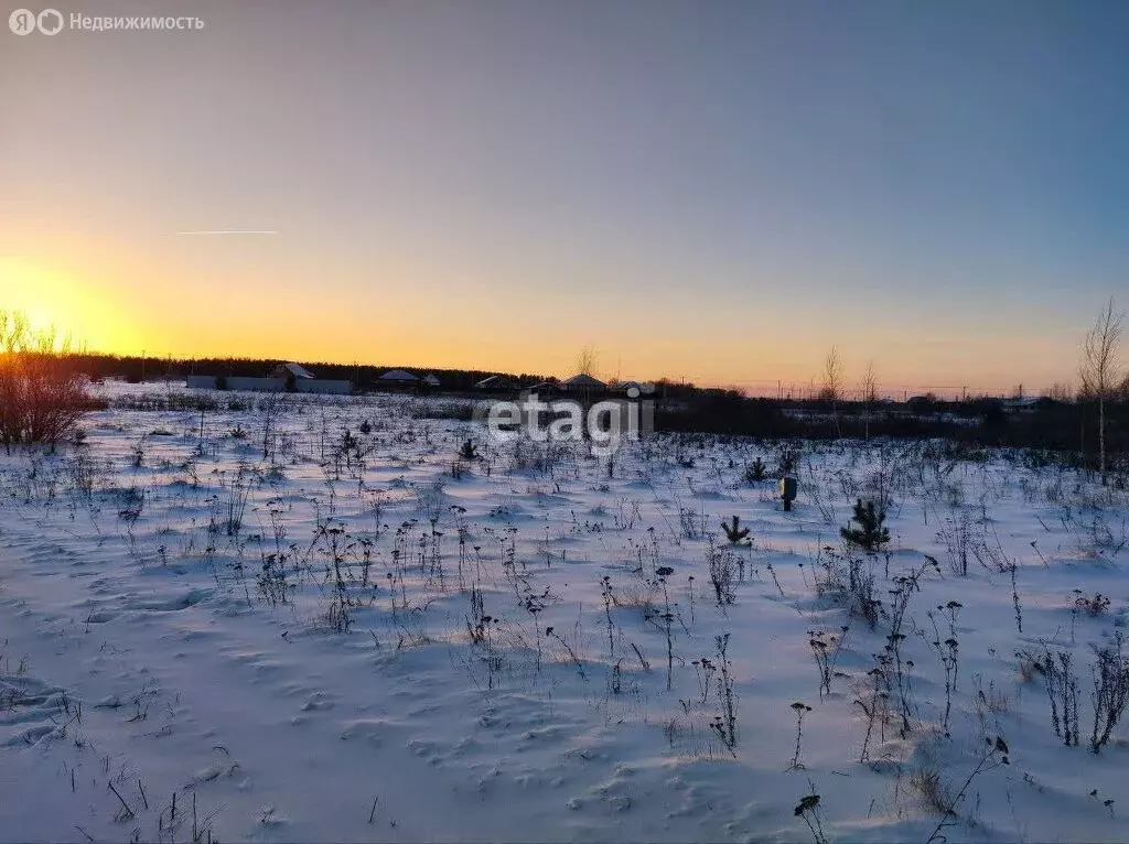 Участок в Тюменский район, село Борки (10 м) - Фото 1