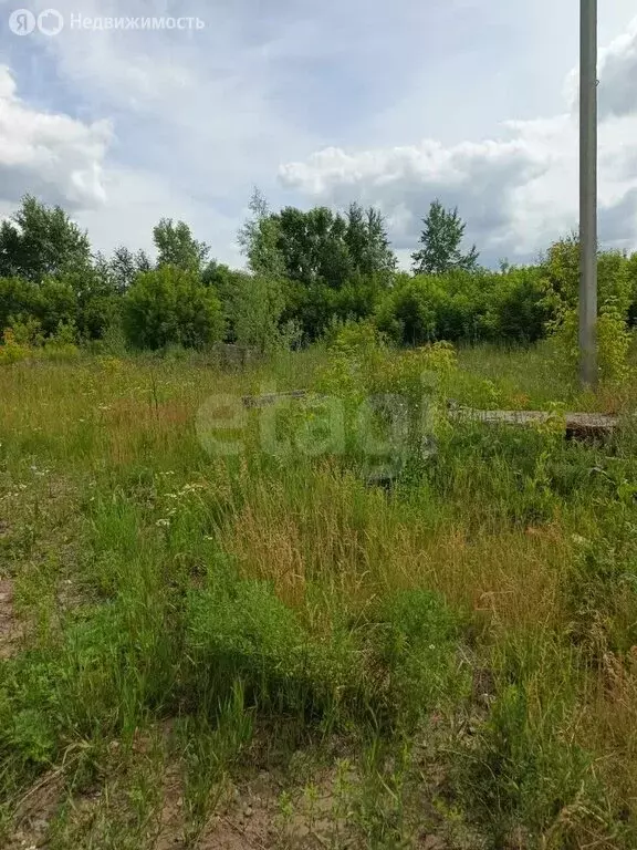 Участок в Викулово, улица Автомобилистов (14.7 м) - Фото 1