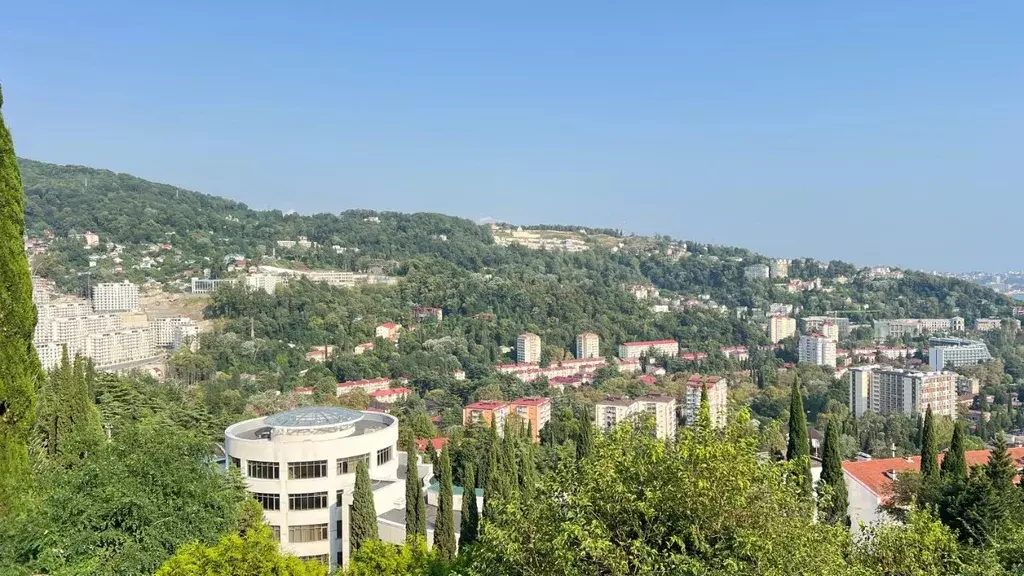 Участок в Краснодарский край, Сочи Хоста жилрайон, ул. Туренко (3.0 ... - Фото 1