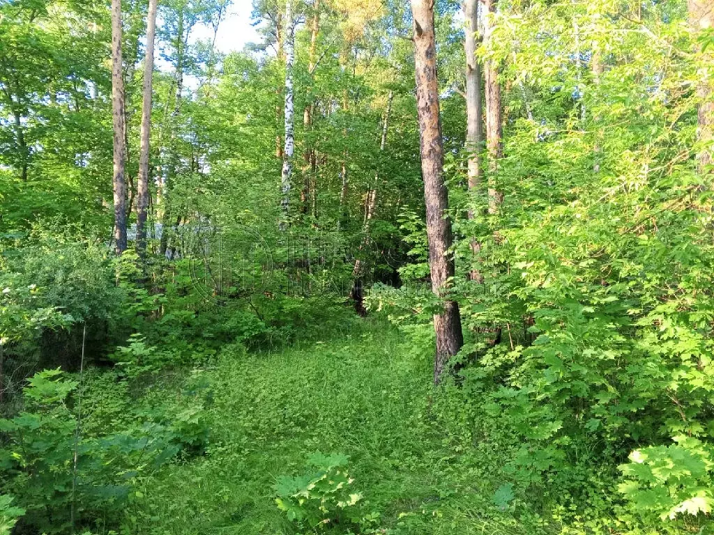 Продается участок в пгт Быково - Фото 2