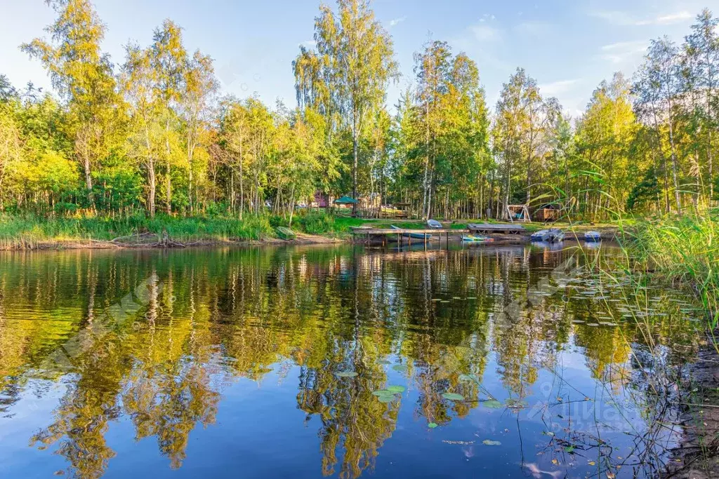 Участок в Ленинградская область, Приозерский район, Ромашкинское ... - Фото 1