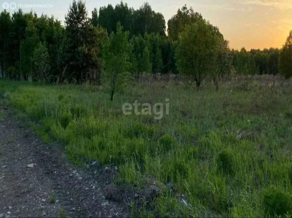 Участок в Криводановский сельсовет, садовое товарищество Весна (10 м) - Фото 0