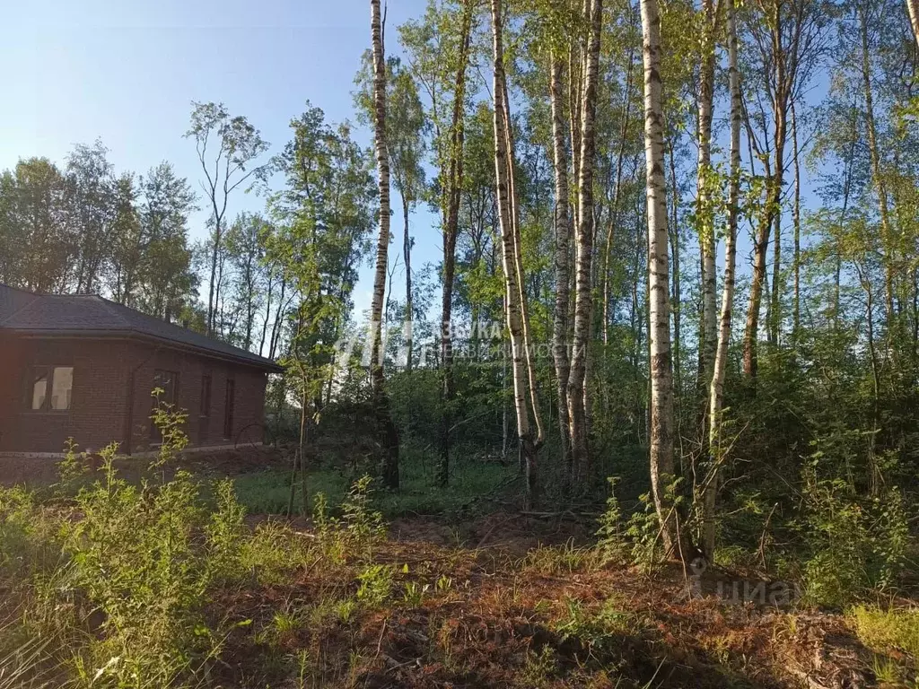 Участок в Московская область, Химки городской округ, Дачной застройки ... - Фото 0