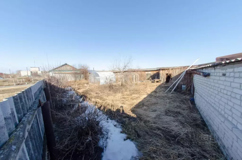 Дом в Курганская область, Шадринский муниципальный округ, с. Ичкино ... - Фото 1