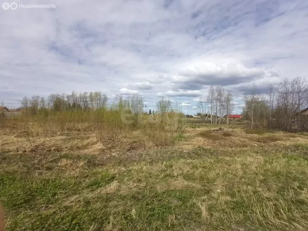 Участок в Архангельская область, Приморский муниципальный округ, ... - Фото 0