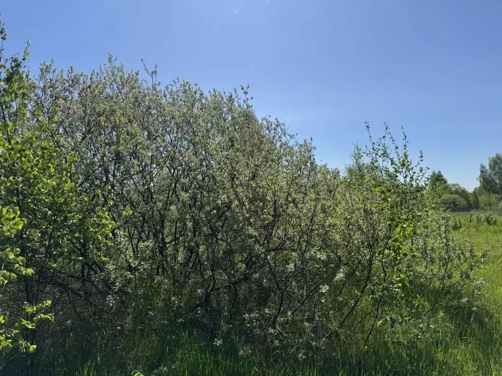 Участок в Московская область, Воскресенск городской округ, д. Губино ... - Фото 0