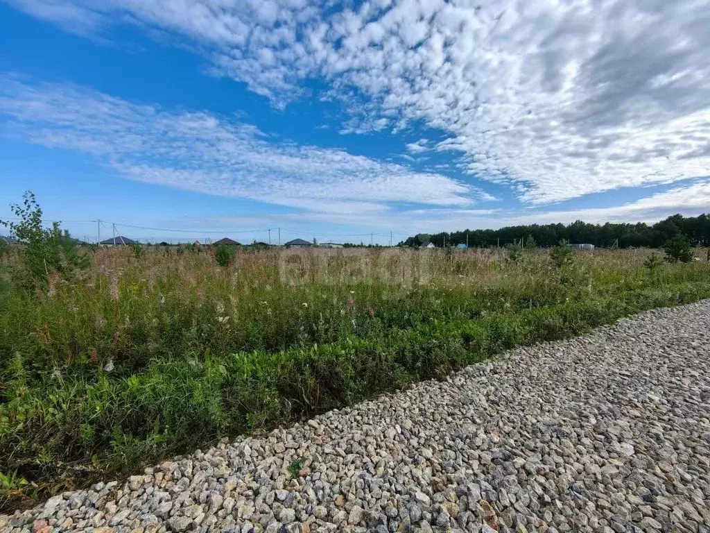 Участок в Тюменская область, Тюменский муниципальный округ, д. Елань ... - Фото 1