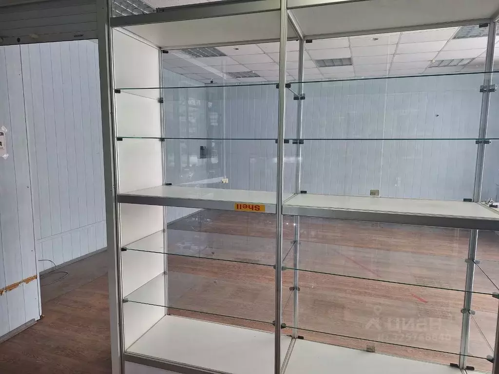 Торговая площадь в Белгородская область, Белгород ул. Королева, 2Ак3 ... - Фото 1