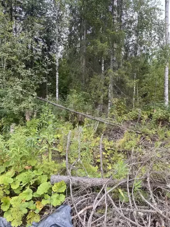 Участок в Коми, Ухта пос. УРМЗ,  (13.06 сот.) - Фото 2