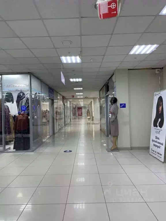 Торговая площадь в Пермский край, Пермь ул. Куйбышева, 37 (30 м) - Фото 1