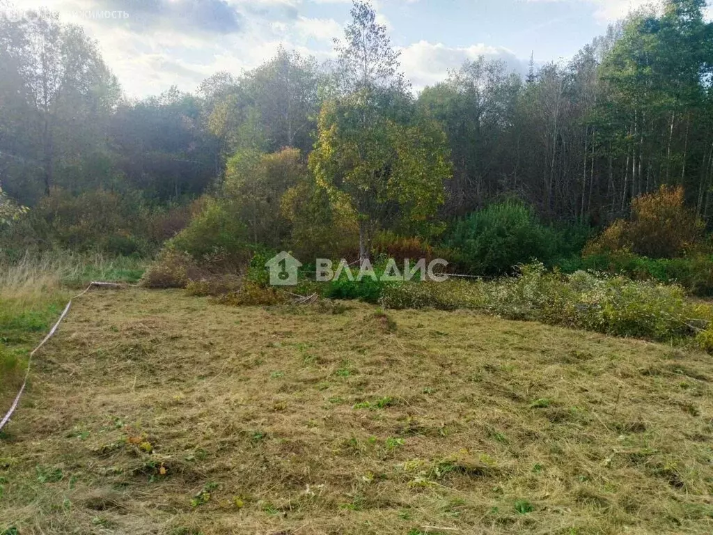 Участок в Мшинское сельское поселение, деревня Тозырево (15 м) - Фото 1