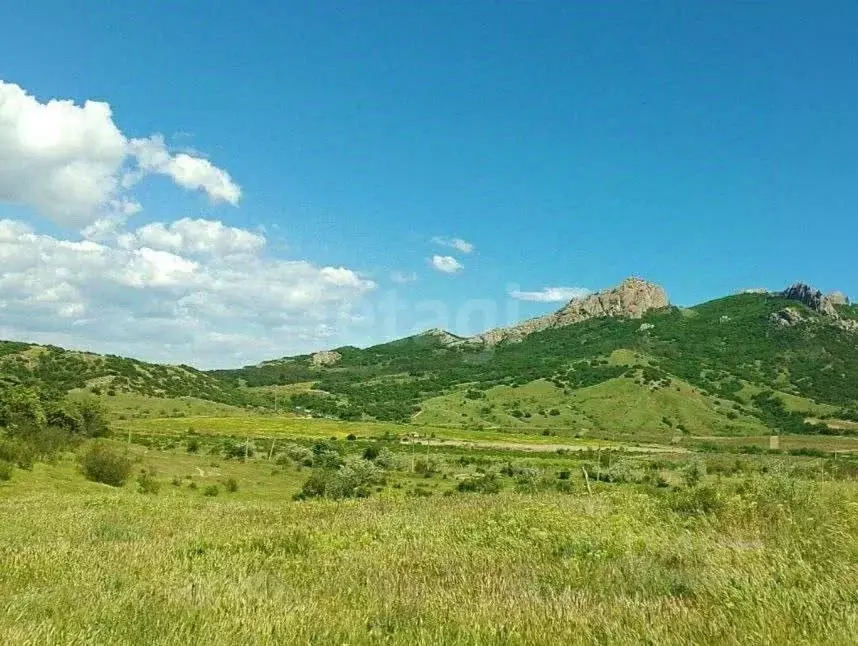 Участок в Крым, Феодосия муниципальный округ, Щебетовка пгт ул. ... - Фото 1