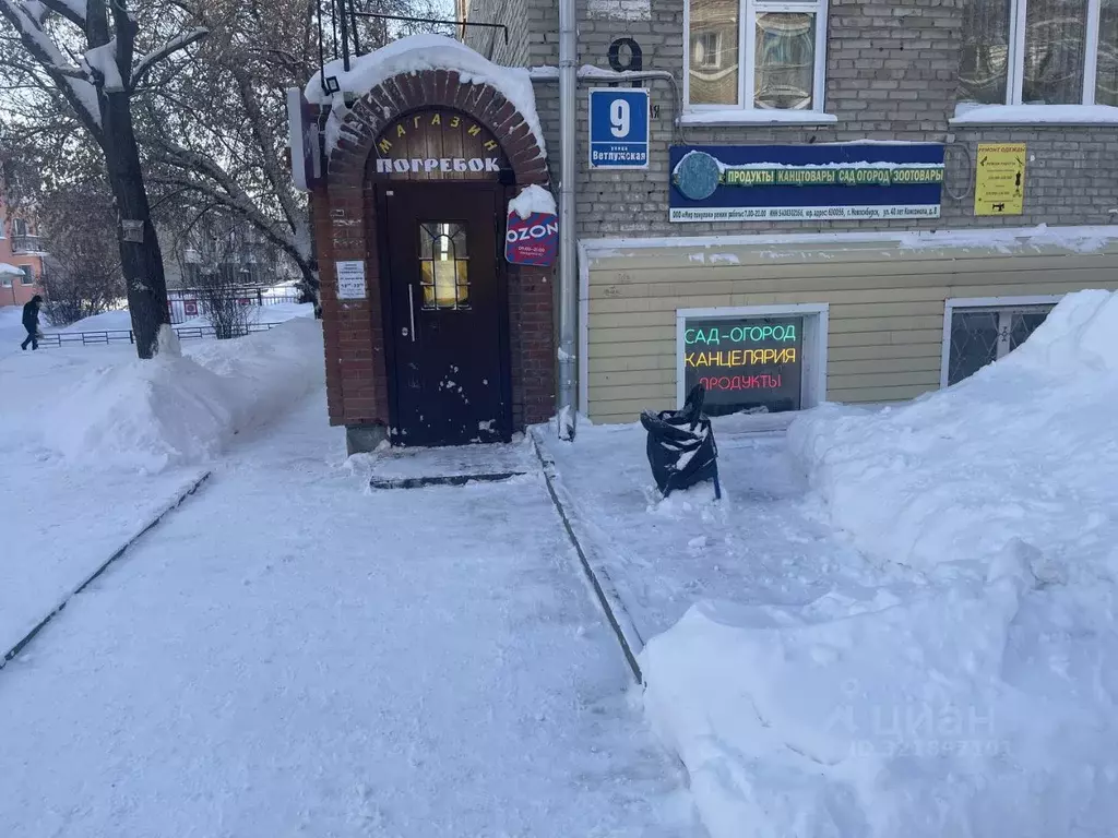 Торговая площадь в Новосибирская область, Новосибирск Ветлужская ул., ... - Фото 1