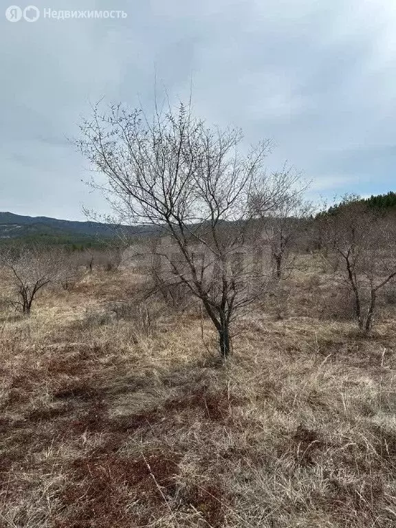Участок в Тарбагатайский район, сельское поселение Саянтуйское, село ... - Фото 2
