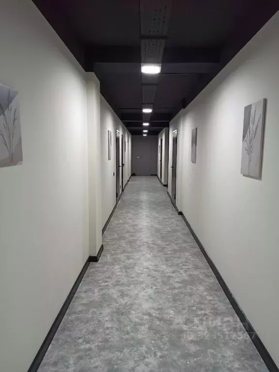 Помещение свободного назначения в Свердловская область, Екатеринбург ... - Фото 2