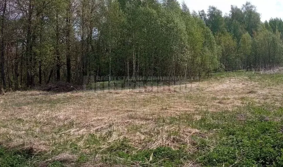 Участок в Смоленская область, Смоленск ш. Рославльское (11.0 сот.) - Фото 1