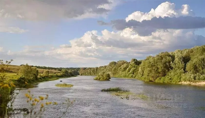 Участок в Воронежская область, Борисоглебский городской округ, д. ... - Фото 1