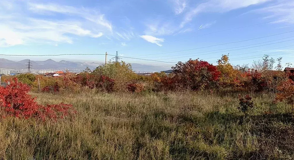 Участок в Краснодарский край, Новороссийск Цемдолина тер., ул. ... - Фото 0